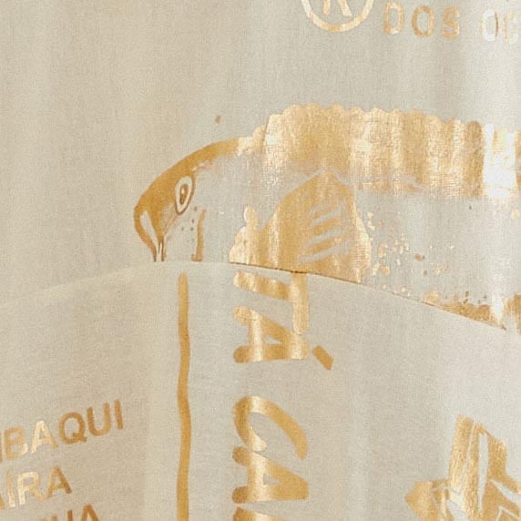 Detalle-del-estampado-dorado-del-vestido-cropped-sobre-fondo-blanco.