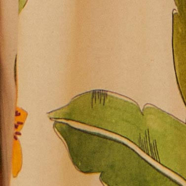 331437_43060_10-TOP-ESTAMPADO-LEVEZA-TROPICAL