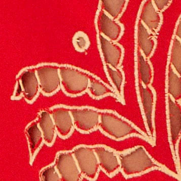 Primer-plano-de-los-bordados-botanicos-en-el-pantalon-rojo-mostrando-el-patron-detallado.