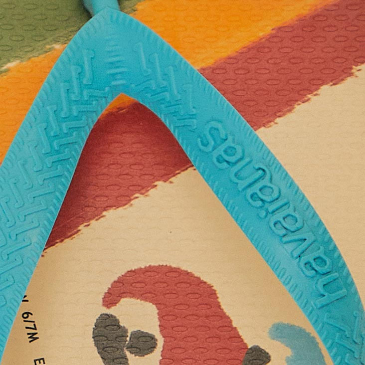 325482_0024_10-HAVAIANAS-ESTAMPADAS-COLORIDO-POR-NATUREZA