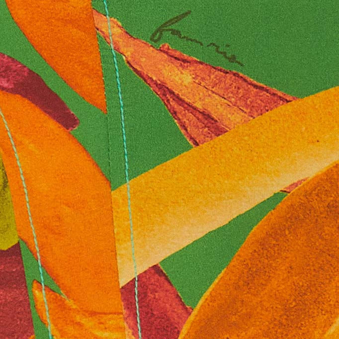 Detalle-del-estampado-tropical-vibrante-del-macacon.