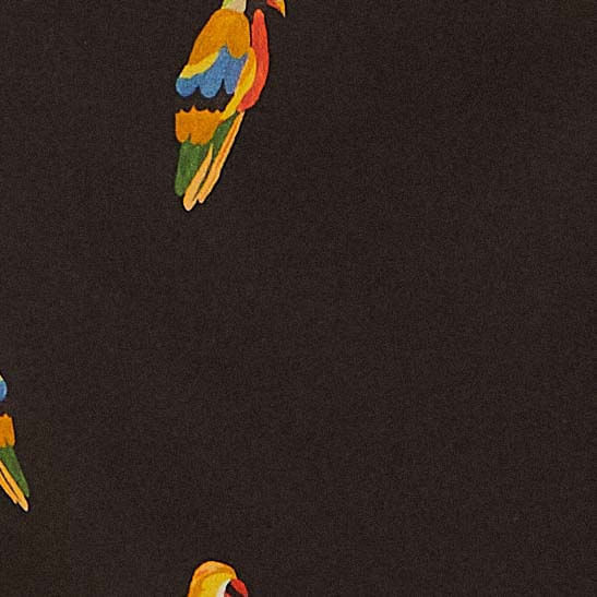 Detalle-del-estampado-de-pajaros-coloridos-en-la-tela-del-vestido-midi.