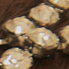 Detalle-de-los-cristales-brillantes-de-la-diadema-mostrando-el-acabado-refinado.