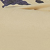 Vista diagonal de las sandalias estampadas con detalles botánicos en azul y beige.