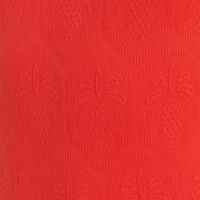 331608_07431_10-MAIO-TEXTURA-ABACAXI-VERMELHO