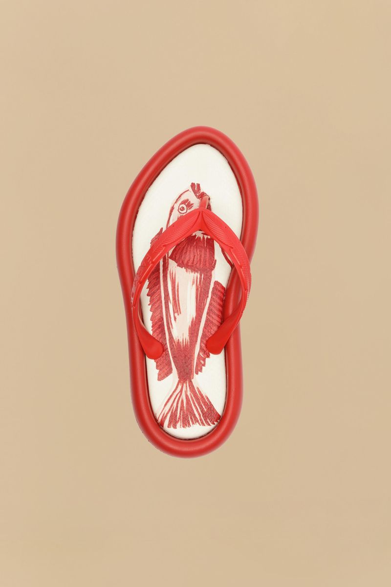 Vista-superior-del-chinelo-estampado-con-diseño-de-pez.