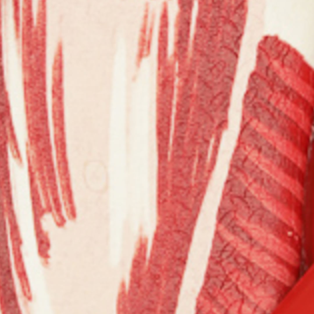 Detalle-de-la-estampado-del-conjunto-en-rojo-y-blanco.