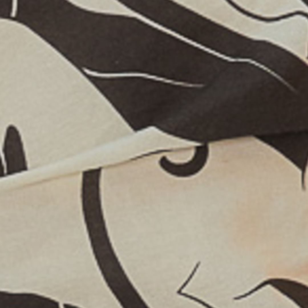 Close-up-del-estampado-de-panteras-en-blanco-y-negro-del-vestido-corto.