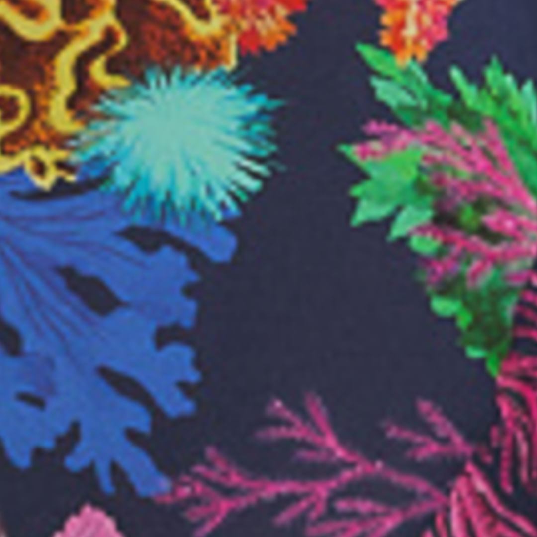 Primer plano del estampado del vestido mostrando elementos florales y botánicos.