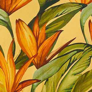 339515_6201_10-CASACO-CROPPED-ADIDAS-BIRD-OF-PARADISE