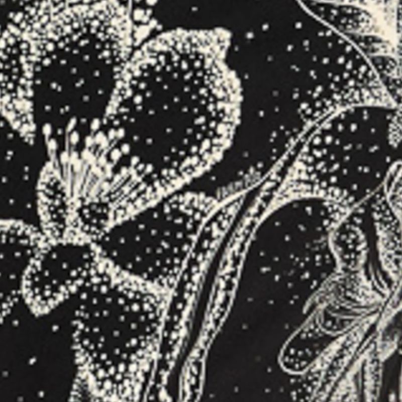 Detalle de la estampado floral blanco sobre fondo negro del vestido.