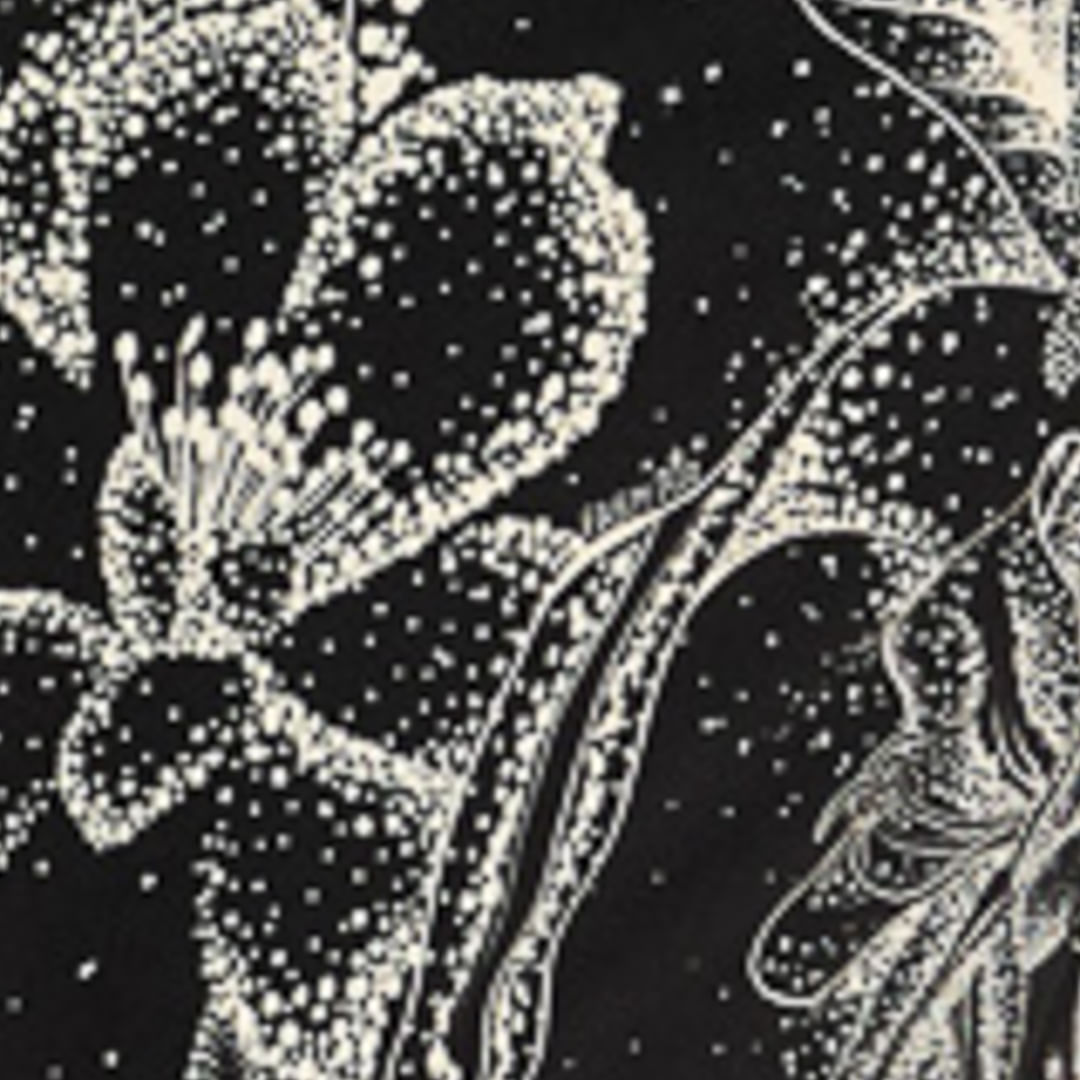 Detalle de la estampado floral blanco sobre fondo negro del vestido.