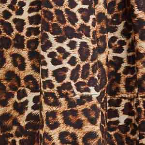 341896_53549_10-SAIA-ONCA-PINTADA
