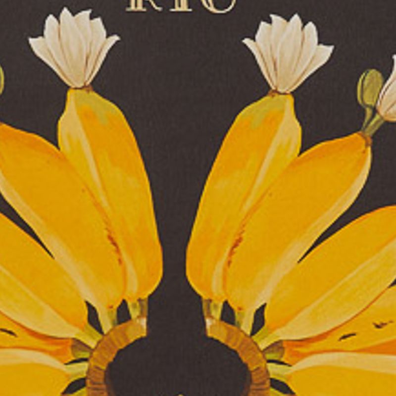 Detalle ampliado del diseño del pañuelo con bananas y flores.