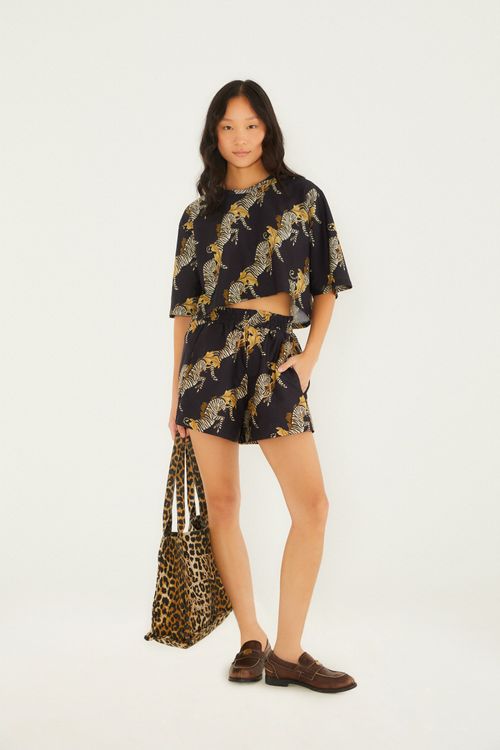 Short Zebra y