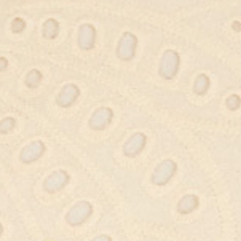 Detalle del tejido del Vestido Laise Copabanana, mostrando el patrón de laise en alta definición.