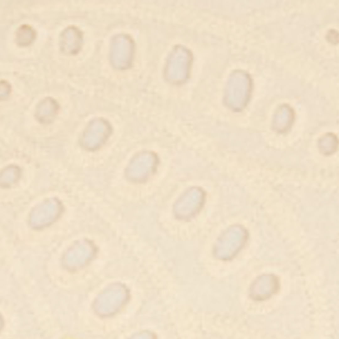 Detalle del tejido del Vestido Laise Copabanana, mostrando el patrón de laise en alta definición.