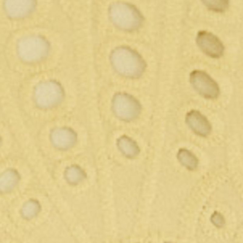 Close-up de los detalles en laise del tejido amarillo del vestido.