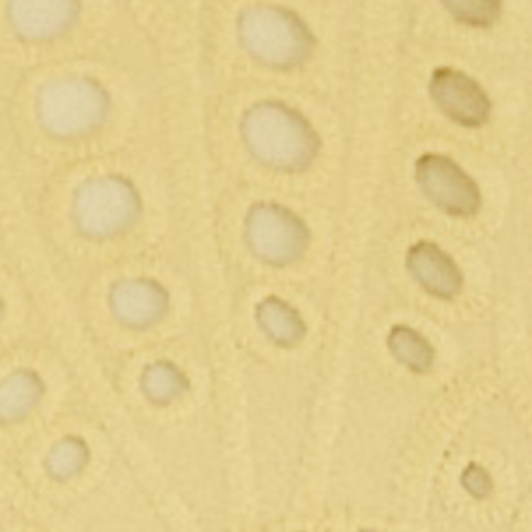Close-up de los detalles en laise del tejido amarillo del vestido.