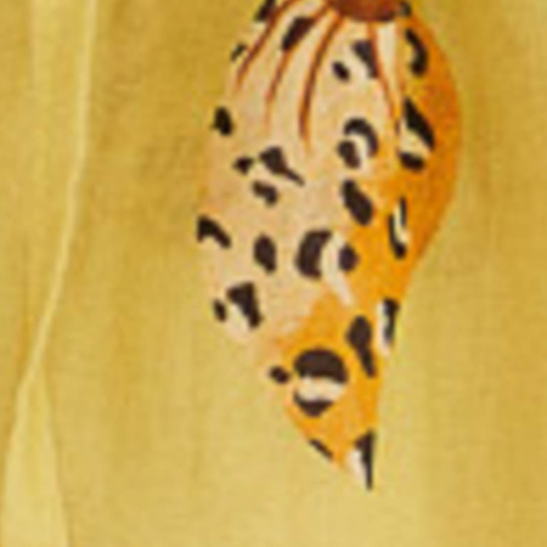 345974_52759_10-BLUSA-CONCHA-PINTADA