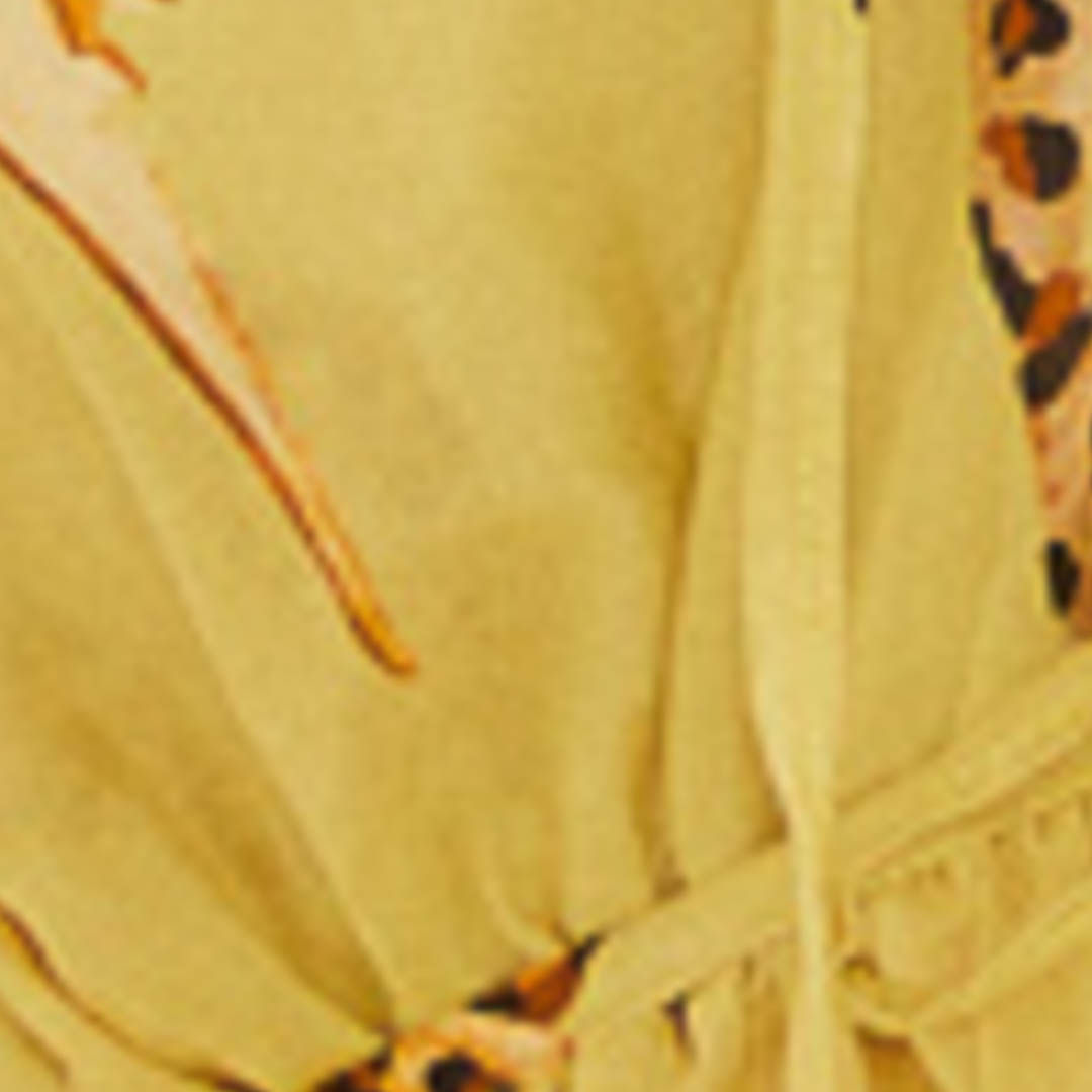 345975_52759_10-SAIA-CONCHA-PINTADA