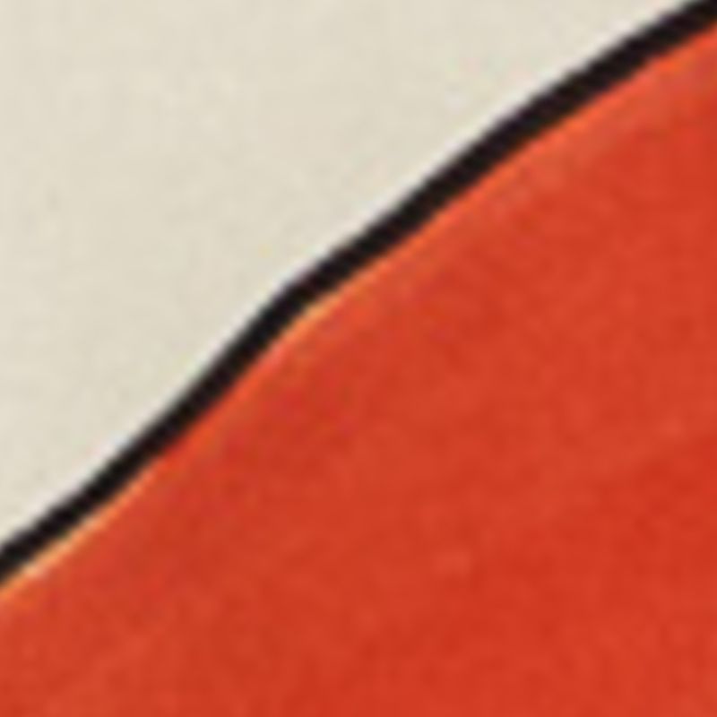 350589_53774_10-CAMISA-PASSAROS-GRAFICOS