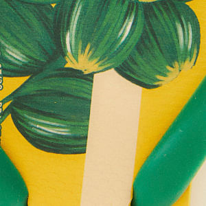 358879_2276_10-HAVAIANAS-RJ