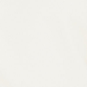 Vista trasera de la blusa sin tirantes palabra de honor mostrando espaldas lisas y corte recto