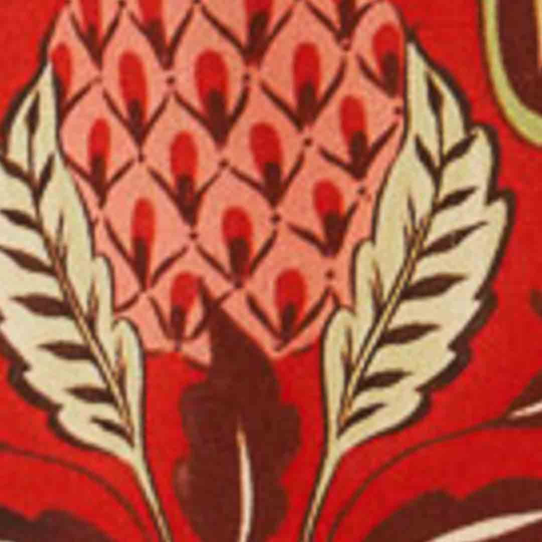 350170_54438_10-REGATA-ODARA