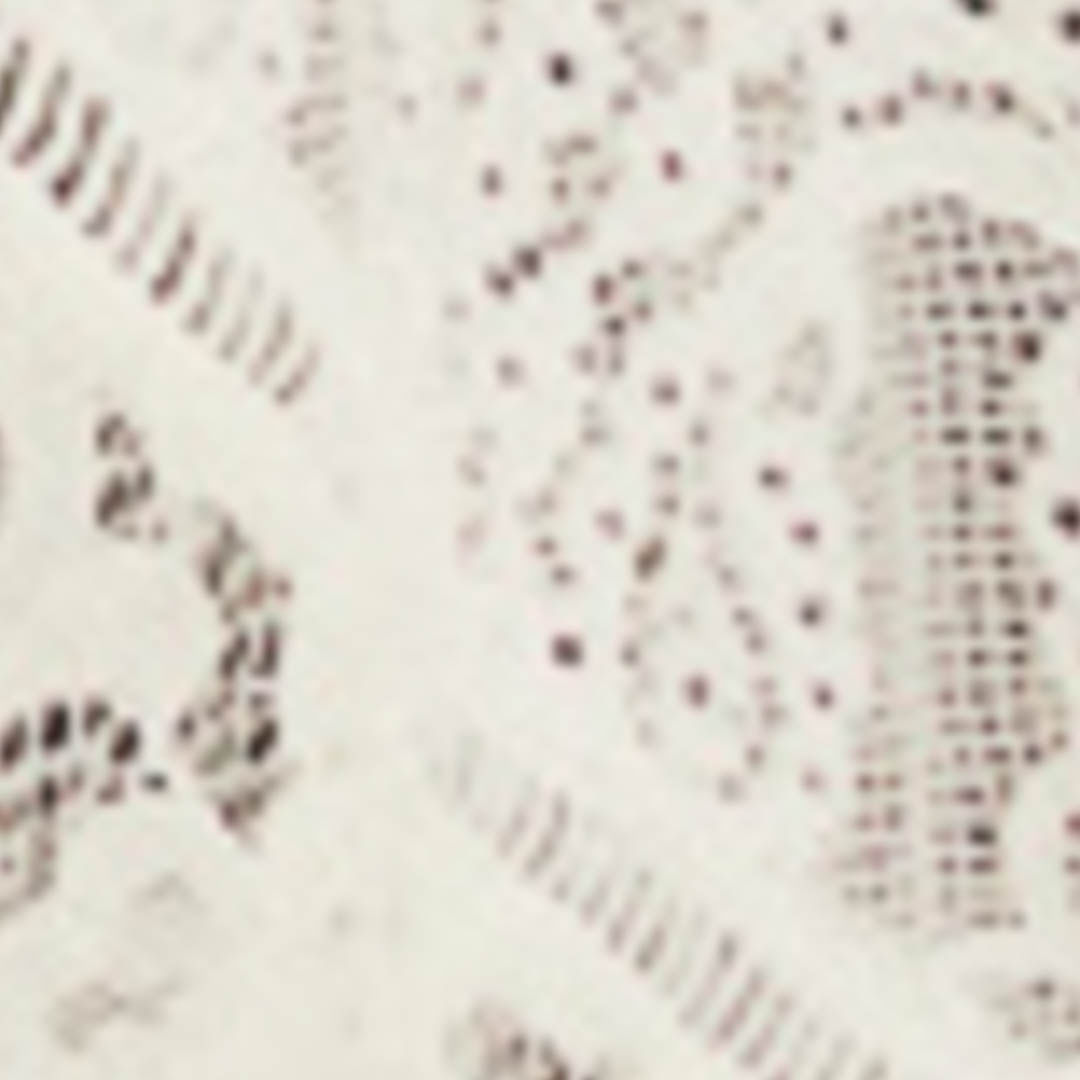 351292_07448_10-SAIA-PATCH-DE-RENDA