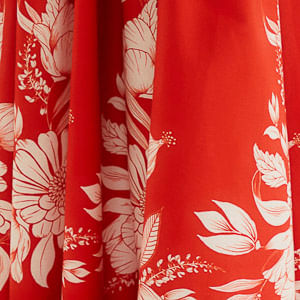 353022_53935_10-SAIA-CROPPED-DOMITILA