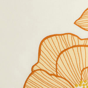 351091_53965_10-SAIA-JARDIM-MISTICO